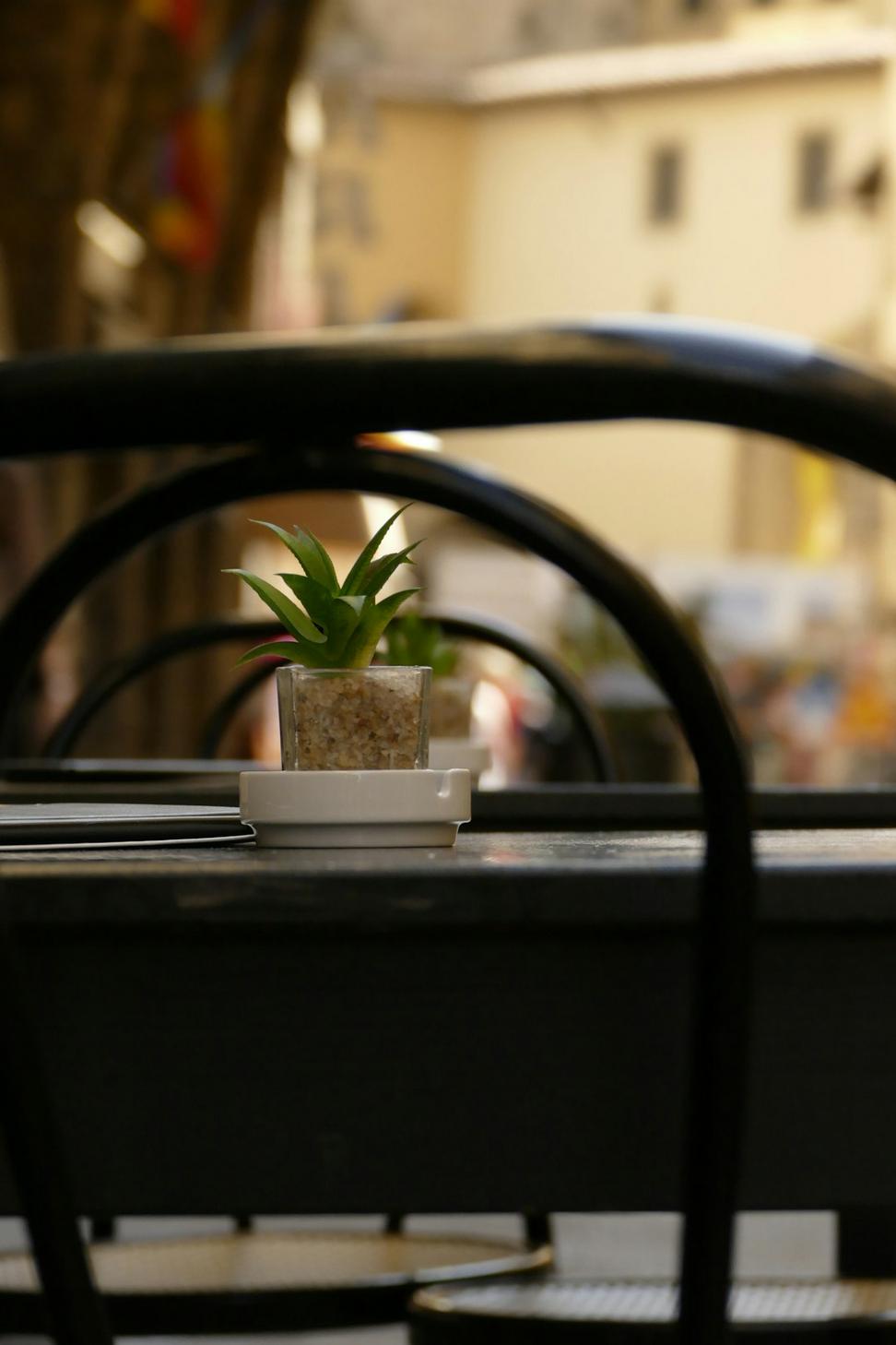 The Alpine Bistro
